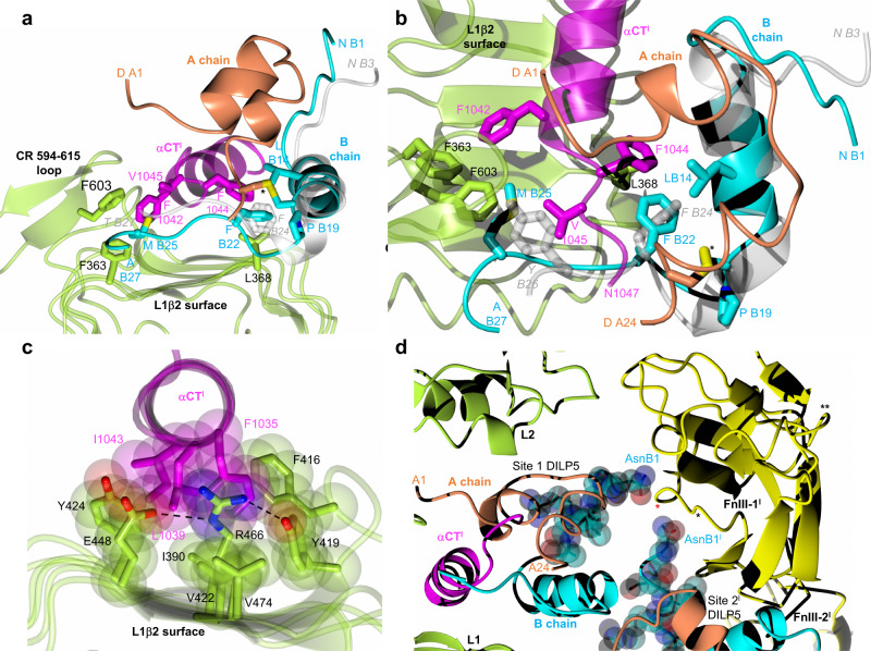 Fig. 4