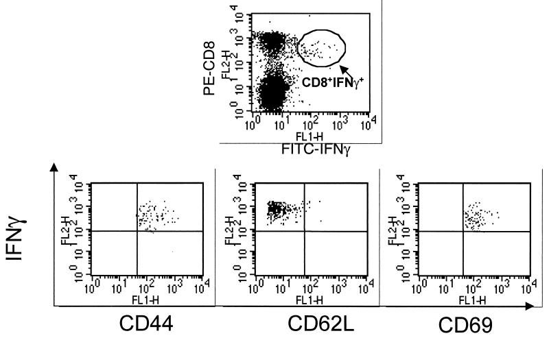 FIG. 1