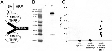 Fig. 8.