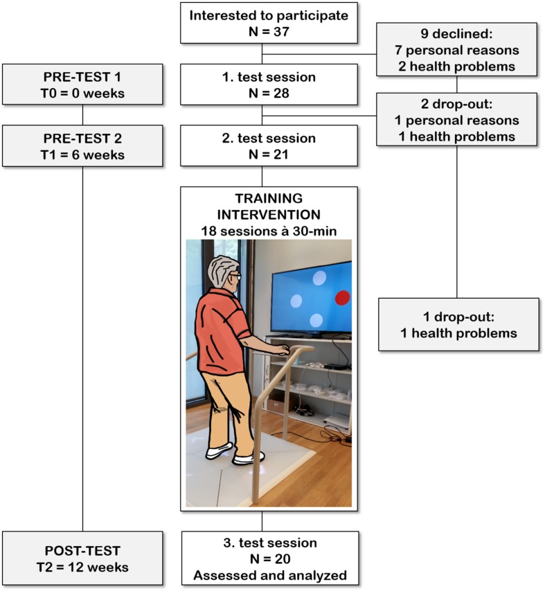 FIGURE 1