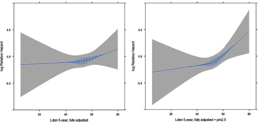 Figure 1 shows two line graphs plotting log relative hazard from negative 0.5 to 5 at increments of 5 (y-axis) across L sub den from 20 to 80 at increments of 20 (5 years) (x-axis), each for fully adjusted and fully adjusted along with PM sub 2.5.