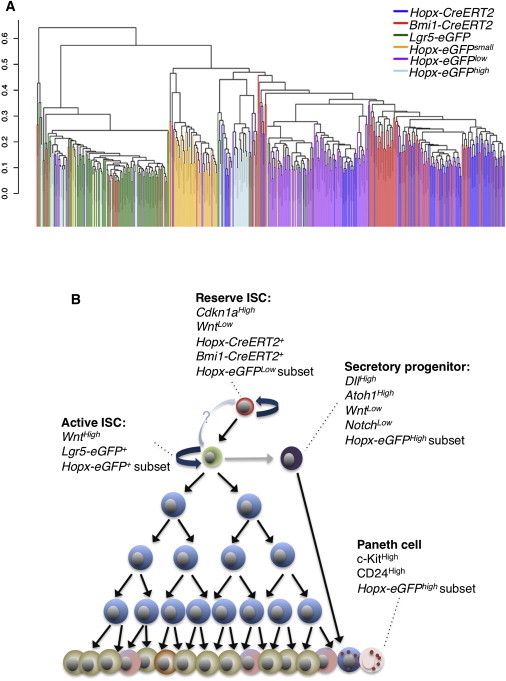 Figure 6