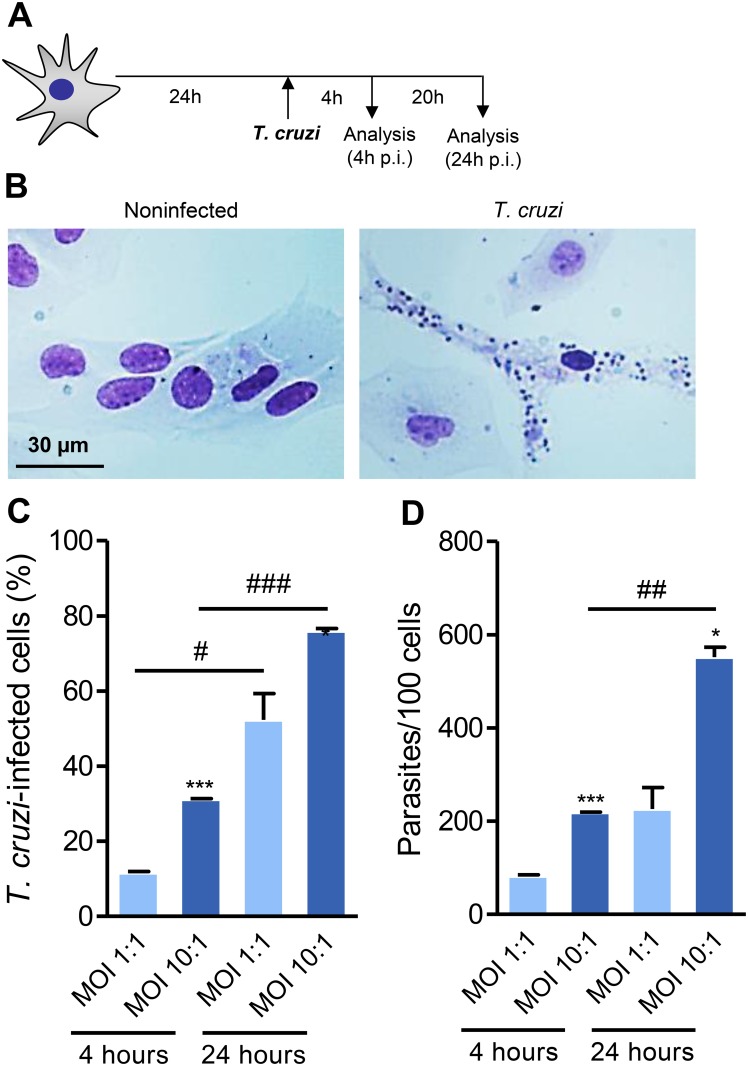 Fig 2