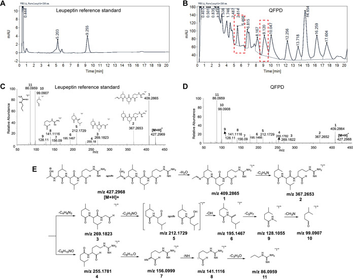 FIG 3