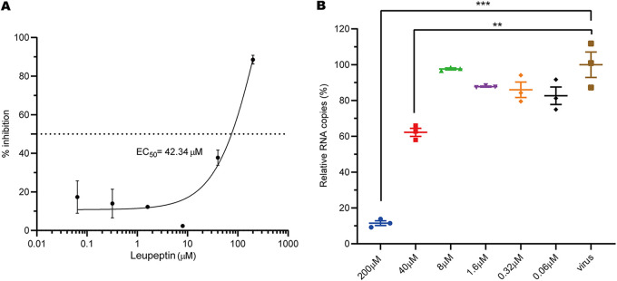 FIG 2