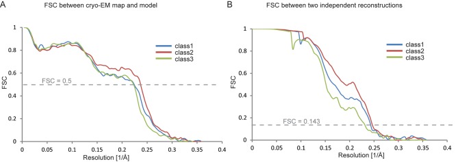 Figure 3—figure supplement 1.