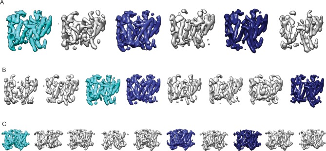 Figure 2—figure supplement 3.