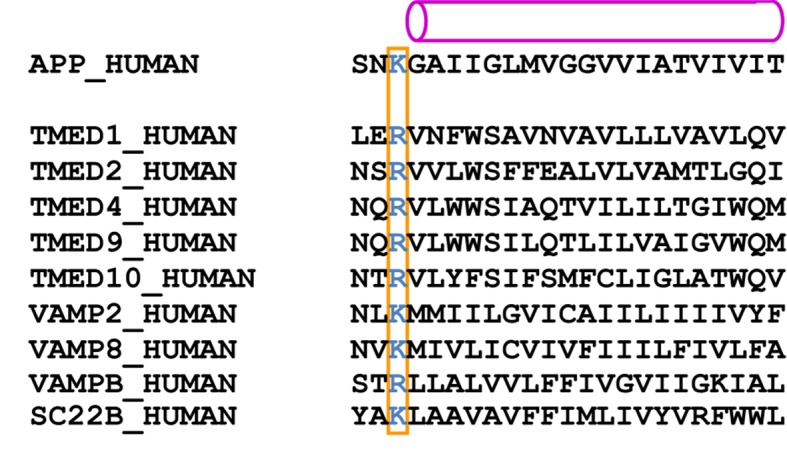 Figure 6—figure supplement 1.