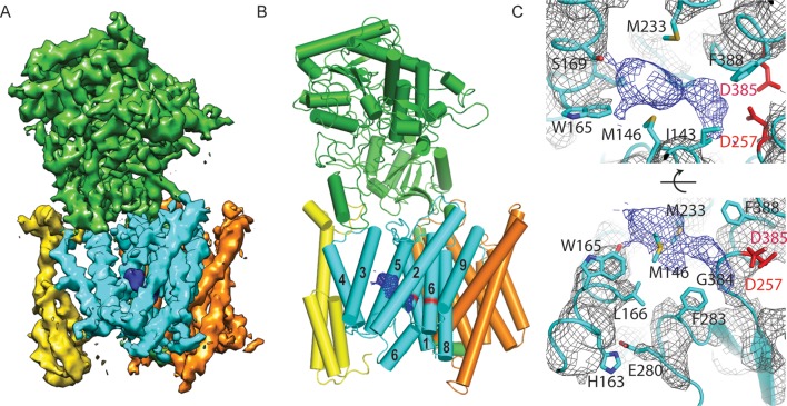 Figure 5.