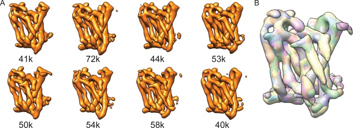 Figure 2—figure supplement 2.