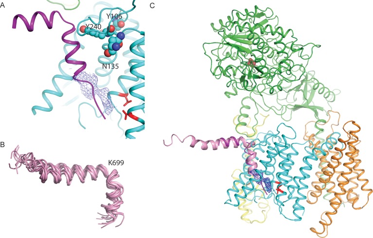 Figure 6.