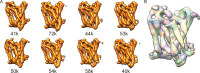 Figure 2—figure supplement 2.