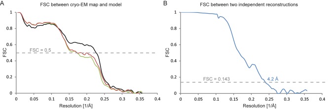 Figure 5—figure supplement 1.