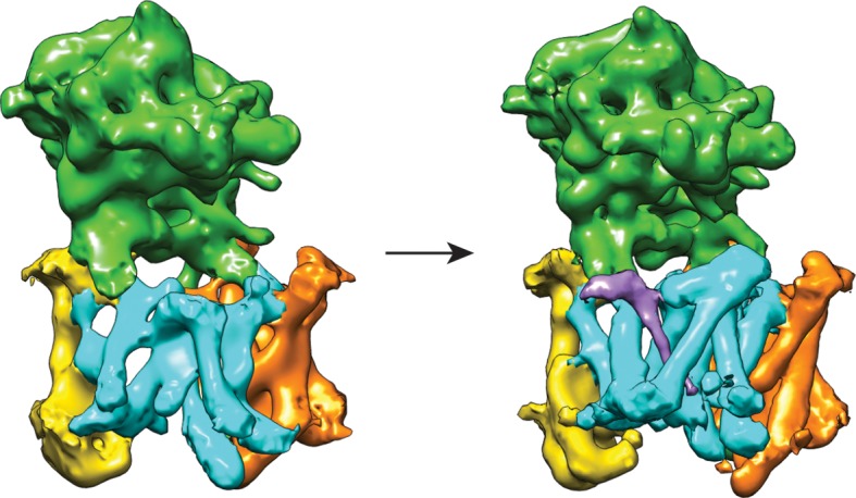 Figure 2—figure supplement 1.