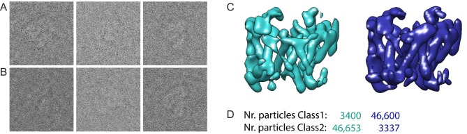 Figure 2—figure supplement 4.