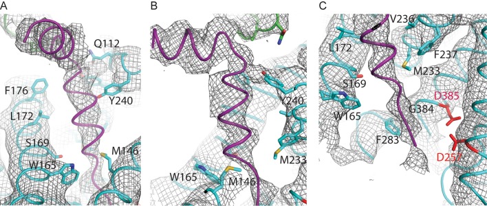 Figure 4.