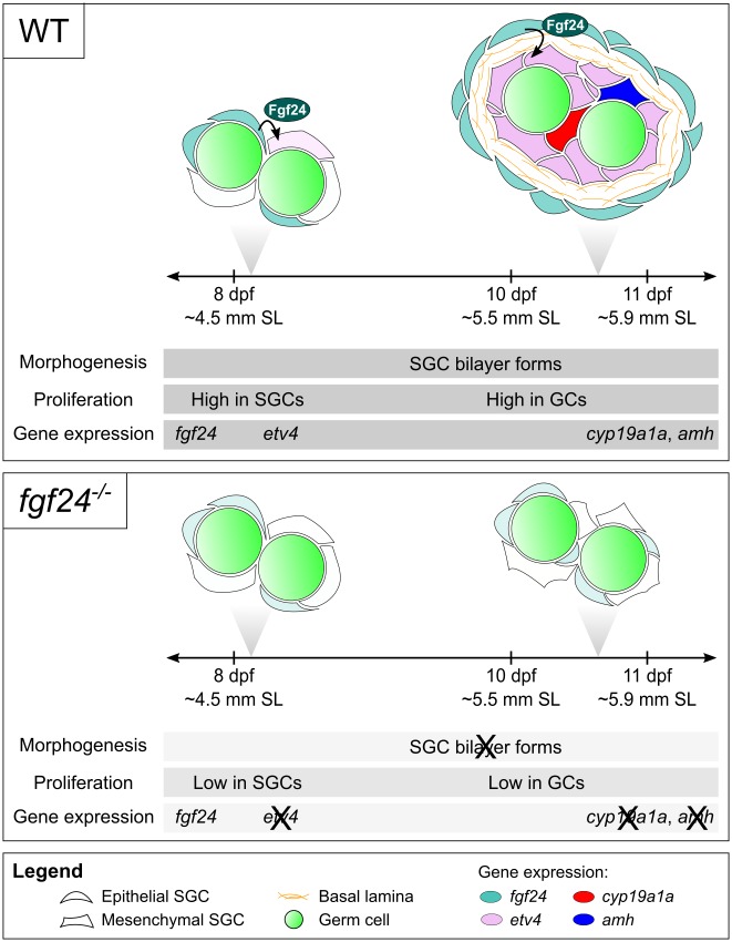 Fig 9