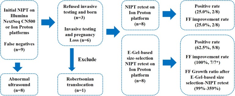 FIGURE 1