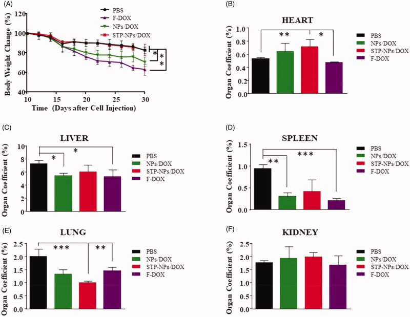 Figure 13.