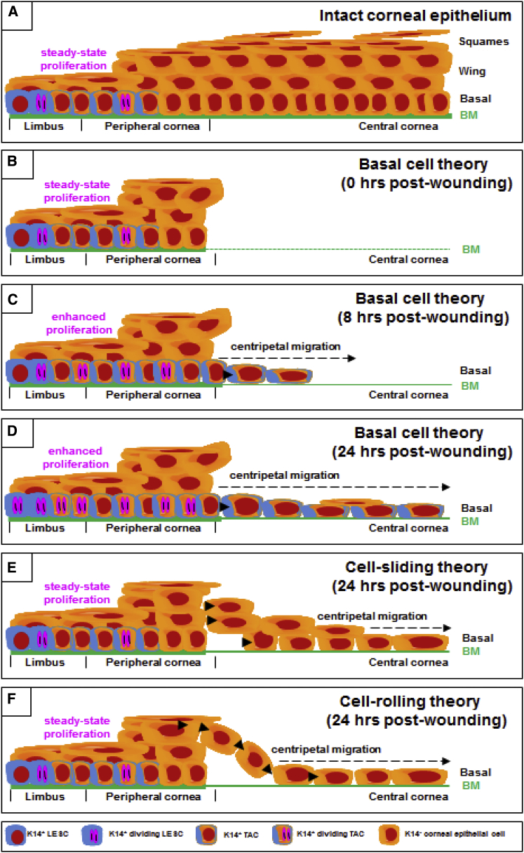 Figure 7