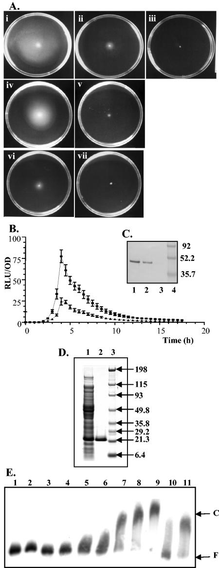 FIG. 5.