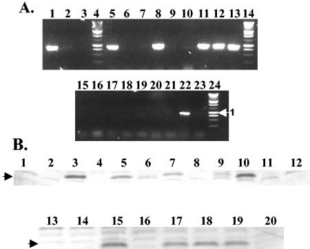 FIG. 2.