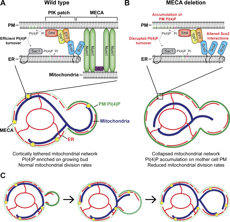 Figure 10.