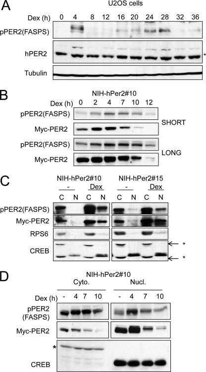 FIGURE 4.