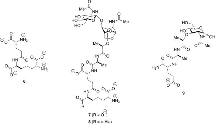 Scheme 6