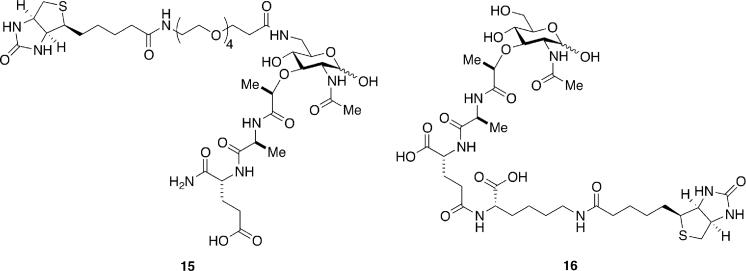 Scheme 7