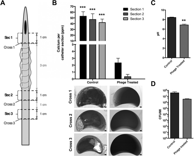 FIG 4