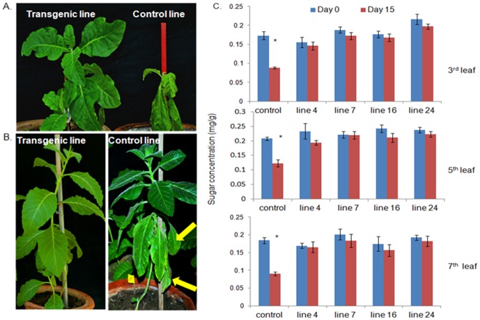 Figure 4