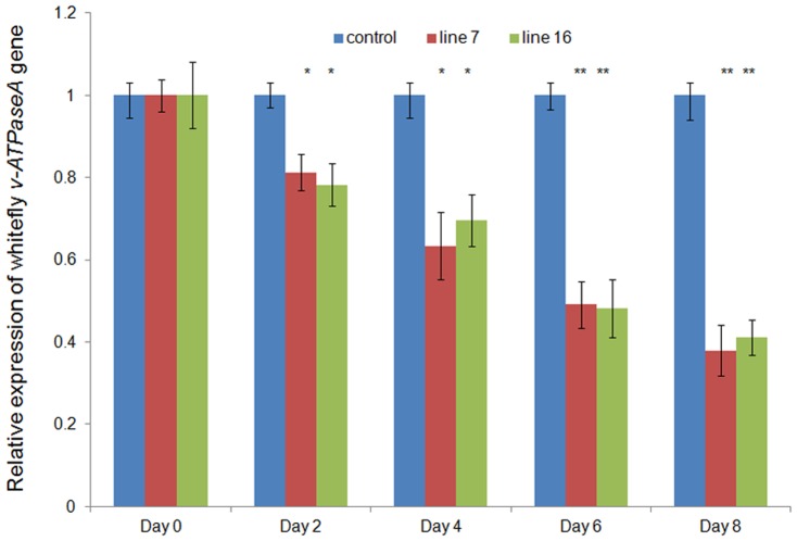 Figure 6