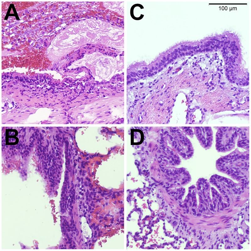 Fig 2