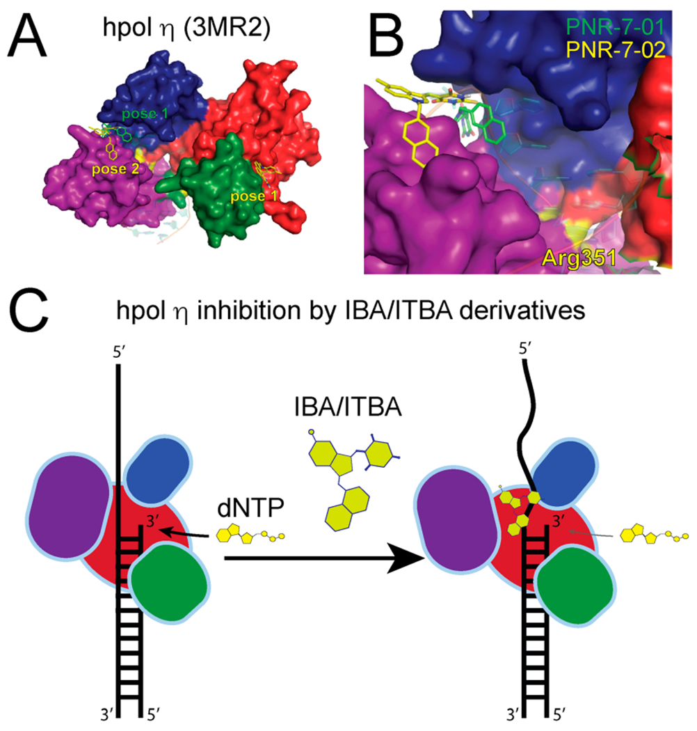 Figure 5.