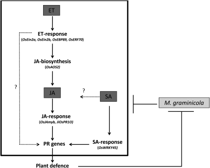 Figure 7.