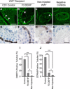 FIG. 10