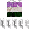 FIG. 9