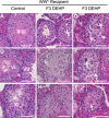 FIG. 11