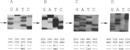 graphic file with name pnas01057-0032-a.jpg