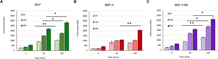 FIGURE 9