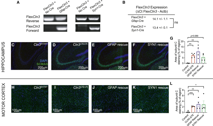 Figure 3