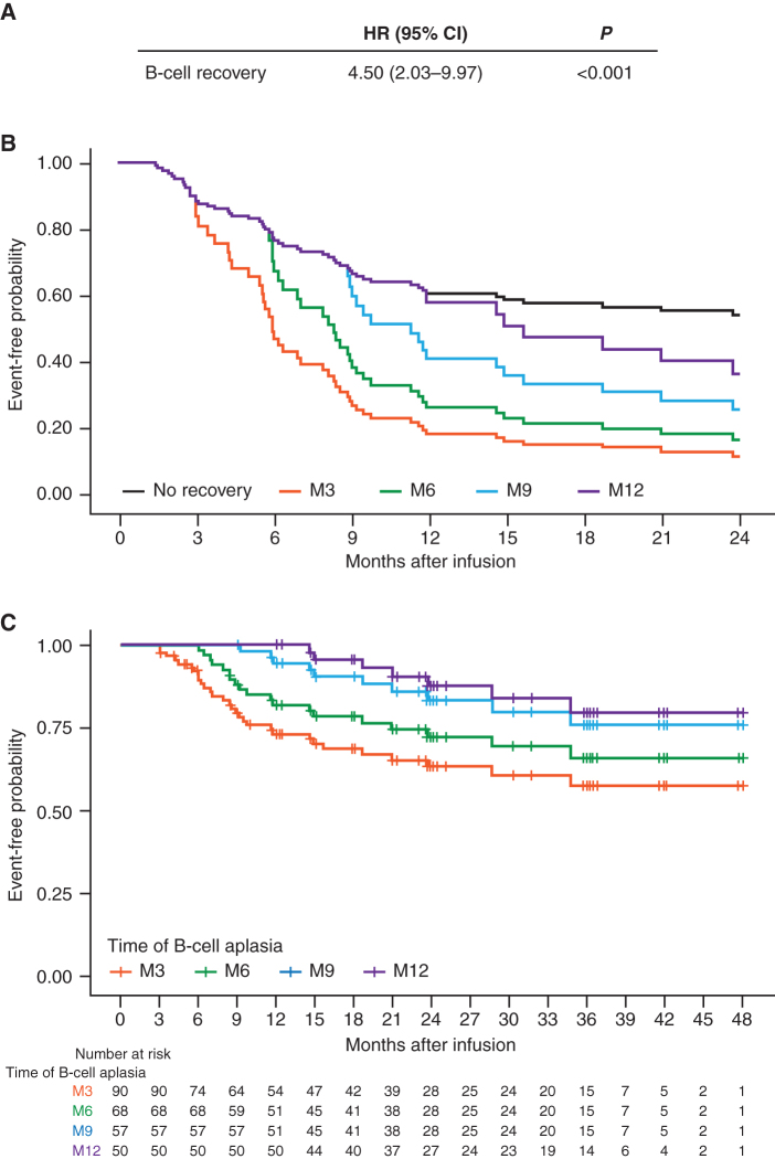 Figure 4. Univariate Cox model to assess the time-dependent effect of B-cell recovery on EFS. A, HR, confidence interval, and P value for the risk of relapse once patients had B-cell recovery within 1 year after infusion. B, Adjusted EFS curves based on the Cox model from A for patients with B-cell recovery by month 3 (M3), month 6 (M6), month 9 (M9), and month 12 (M12). C, Landmark EFS analysis for patients with persistent B-cell aplasia and reaching M3, M6, M9, and M12.