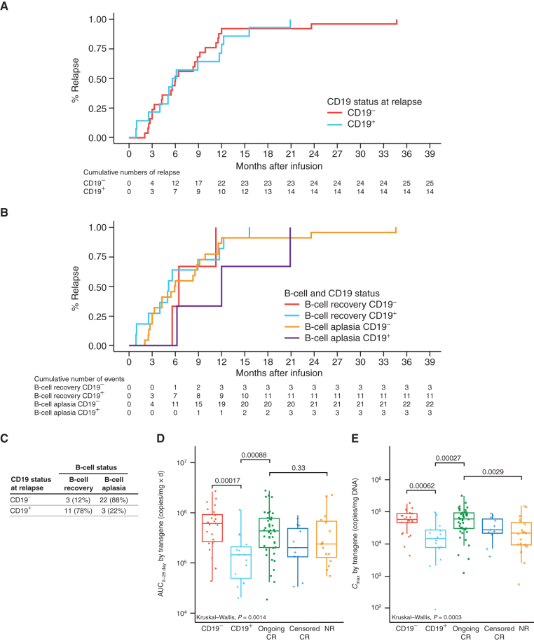 Figure 6. Comparison of time to relapse, B-cell recovery incidence, and tisagenlecleucel expansion in CD19− and CD19+ relapse patients. A, Kaplan–Meier (KM) analysis for time to relapse by CD19 status: CD19- (red) and CD19+ (aqua). B, KM analysis for cumulative incidence of relapse by B-cell recovery and CD19 status: B-cell recovery plus CD19- (red), B-cell recovery plus CD19+ (green), B-cell aplasia plus CD19- (aqua), and B-cell aplasia plus CD19+ (purple). C, Relapses according to CD19 status and the presence or absence of B-cell recovery. AUC0–28d (D) and Cmax (E) of transgene levels in patients with CD19- relapse, CD19+ relapse, ongoing CR more than 1 year, CR censored for other therapy or HCT within the first year, and nonresponders (NR). Kruskal–Wallis P values indicate the significance difference in mean levels among different groups. Numbers above the brackets are pairwise comparison P values.