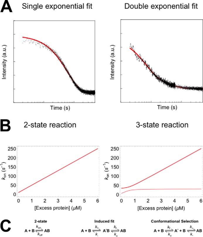 FIGURE 2.