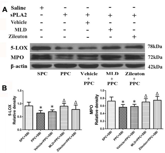 Fig. 9