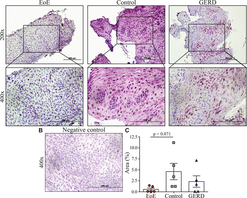 FIG 2.