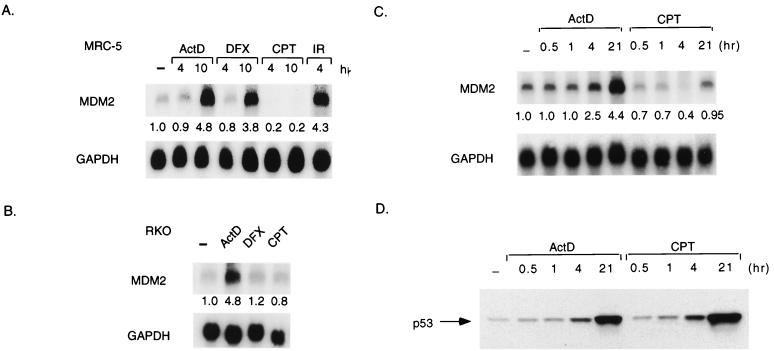 FIG. 6