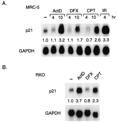 FIG. 4