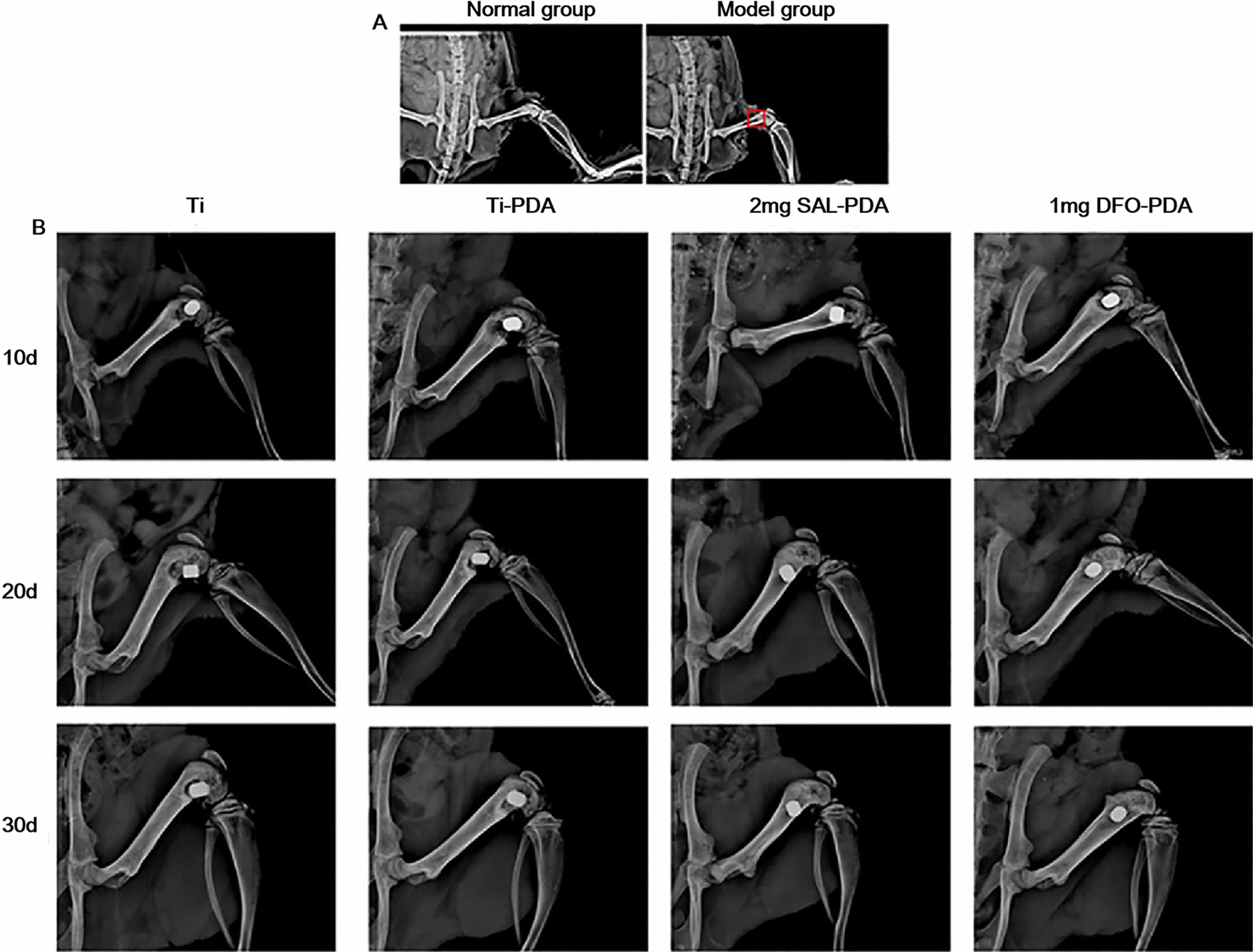 Fig. 6